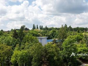 Prodej bytu 6+kk a větší, Brno, Čápkova, 195 m2