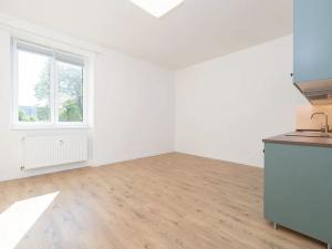 Pronájem bytu 1+kk, Ostrava, Palackého, 28 m2