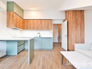 Pronájem bytu 1+kk, Brno, Škrochova, 33 m2