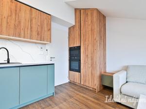 Pronájem bytu 1+kk, Brno, Škrochova, 33 m2