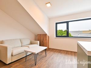 Pronájem bytu 1+kk, Brno, Škrochova, 33 m2