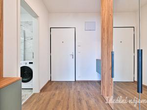 Pronájem bytu 1+kk, Brno, Škrochova, 33 m2