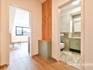 Pronájem bytu 1+kk, Brno, Škrochova, 33 m2