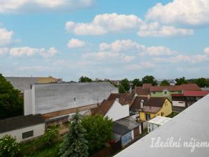 Pronájem bytu 1+kk, Brno, Škrochova, 33 m2
