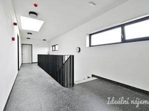 Pronájem bytu 1+kk, Brno, Škrochova, 33 m2