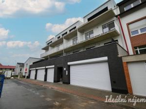 Pronájem bytu 1+kk, Brno, Škrochova, 33 m2