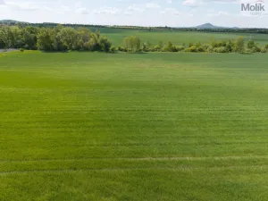 Prodej pozemku pro bydlení, Lovosice, Lukavecká, 17476 m2
