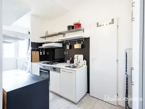 Pronájem bytu 1+kk, Praha - Žižkov, Biskupcova, 22 m2