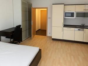 Pronájem bytu 1+kk, Brno, Hrázka, 38 m2