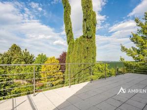 Prodej rodinného domu, Moravany, 271 m2