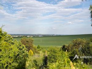 Prodej rodinného domu, Moravany, 271 m2
