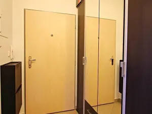 Pronájem bytu 1+kk, Brno, Purkyňova, 45 m2