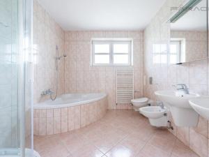 Pronájem rodinného domu, Čakov, 270 m2