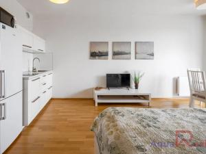 Prodej bytu 1+kk, Praha - Žižkov, Olšanská, 34 m2