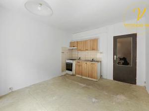 Prodej bytu 1+1, Ústí nad Labem, Kmochova, 38 m2