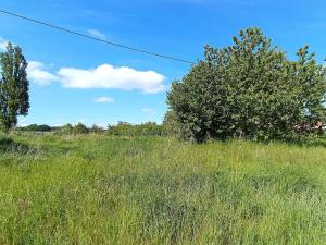 Prodej pozemku pro bydlení, Radětice, 1720 m2