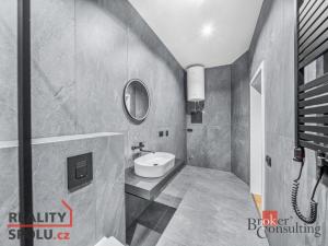 Prodej bytu 2+kk, Hořany, 42 m2