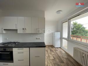 Pronájem bytu 1+1, Nový Jičín, Dlouhá, 43 m2