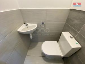 Pronájem bytu 1+1, Nový Jičín, Dlouhá, 43 m2