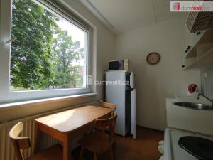Pronájem bytu 2+1, Ostrov, Severní, 56 m2