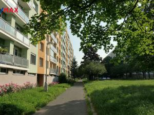 Pronájem bytu 1+1, Hradec Králové - Moravské Předměstí, Štefánikova, 33 m2