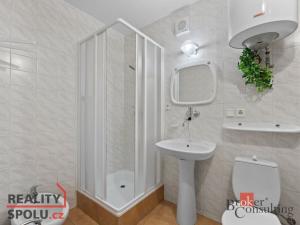 Prodej ubytování, Malá Úpa - Dolní Malá Úpa, 526 m2