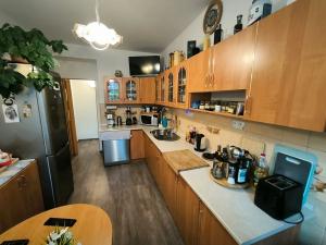 Prodej komerční nemovitosti, Sulejovice, Ke Mlýnu, 550 m2