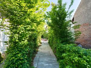 Prodej rodinného domu, Dolní Benešov - Zábřeh, Opavská, 338 m2