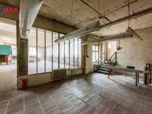 Prodej výrobních prostor, Brno - Maloměřice, Karlova, 1000 m2
