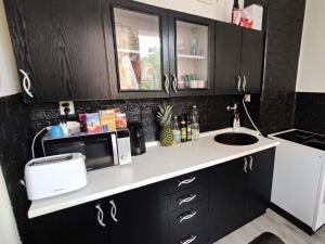 Prodej bytu 2+1, Bílina - Pražské Předměstí, Fügnerova, 48 m2