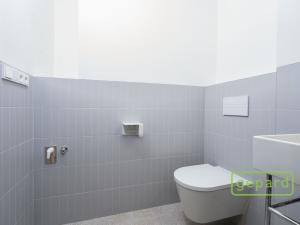 Pronájem bytu 1+kk, Praha - Žižkov, Sudoměřská, 35 m2