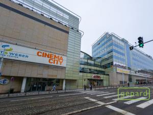 Pronájem bytu 1+kk, Praha - Žižkov, Sudoměřská, 35 m2