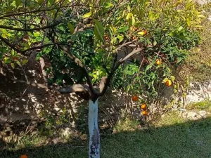 Prodej rodinného domu, 210 m2