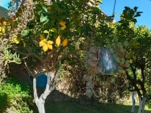 Prodej rodinného domu, 210 m2