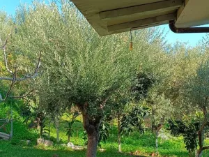 Prodej rodinného domu, 210 m2