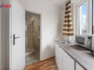 Prodej apartmánu, Abertamy, Rooseweltova, 400 m2