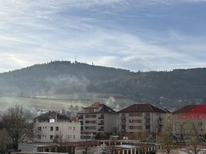 Pronájem bytu 2+1, Sušice - Sušice II, Sirkařská, 57 m2