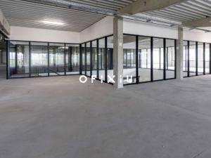 Pronájem obchodního prostoru, Brno, Kaštanová, 589 m2