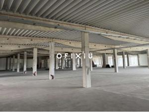Pronájem obchodního prostoru, Brno, Kaštanová, 589 m2