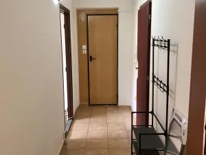Pronájem bytu 2+1, Olomouc, Zelená, 44 m2