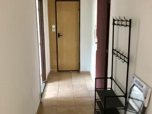 Pronájem bytu 2+1, Olomouc, Zelená, 44 m2