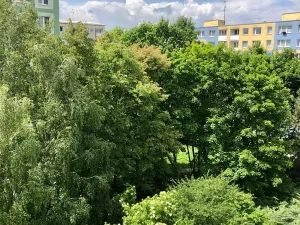 Pronájem bytu 2+1, Olomouc, Zelená, 44 m2
