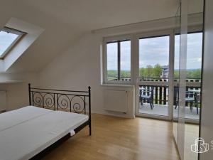Pronájem bytu 2+1, Nová Role, U Plynárny, 62 m2