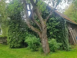 Prodej chalupy, Želetava, 120 m2