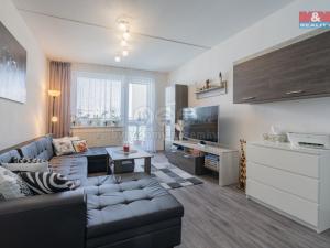 Prodej bytu 3+1, České Budějovice, Prachatická, 79 m2