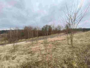 Prodej pozemku, Týn nad Vltavou, 440 m2