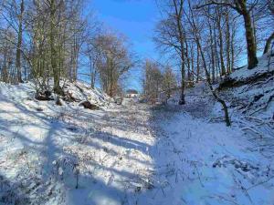 Prodej pole, Vrchovany, 672 m2