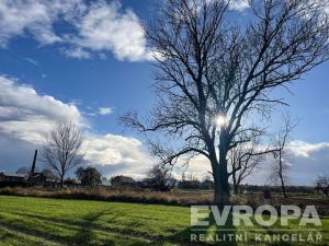 Prodej pozemku pro bydlení, Golčův Jeníkov, 2922 m2