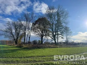 Prodej pozemku pro bydlení, Golčův Jeníkov, 2922 m2