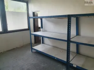 Pronájem komerční nemovitosti, Korozluky, 400 m2